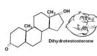 product-198-115 product-198-115